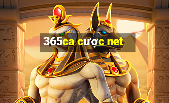 365ca cược net