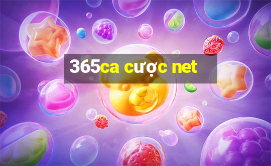 365ca cược net