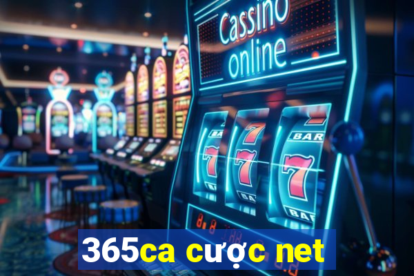 365ca cược net