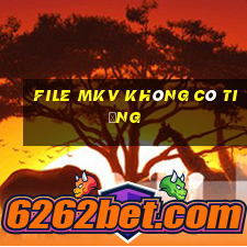 file mkv không có tiếng