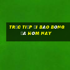 trực tiếp đi bão bóng đá hôm nay