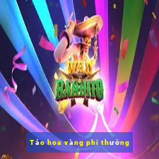 Táo hoa vàng phi thường