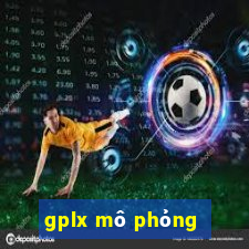 gplx mô phỏng