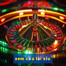 xem cầu tài xỉu