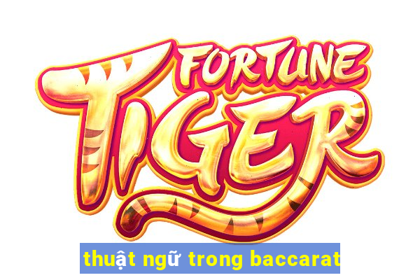 thuật ngữ trong baccarat