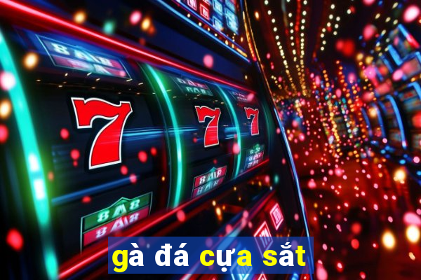 gà đá cựa sắt