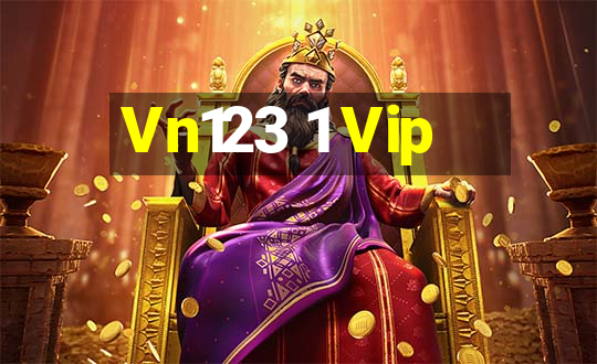 Vn123 1 Vip