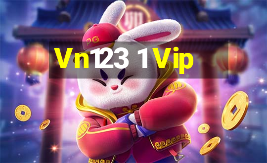 Vn123 1 Vip