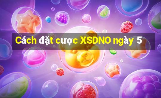 Cách đặt cược XSDNO ngày 5