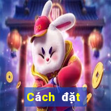 Cách đặt cược XSVT ngày 7