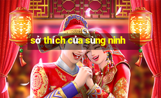 sở thích của sùng ninh