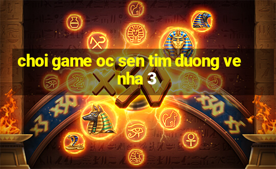 choi game oc sen tim duong ve nha 3