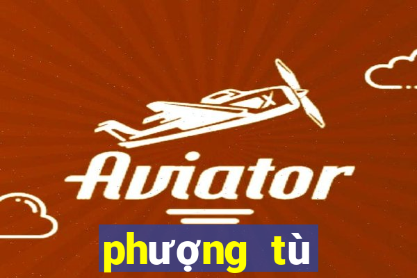 phượng tù hoàng tập 38