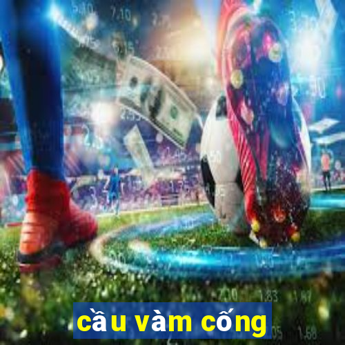 cầu vàm cống