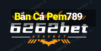 Bắn Cá Pem789