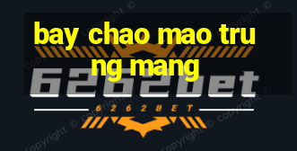 bay chao mao trung mang