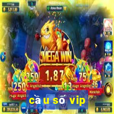 cầu số vip