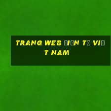 Trang web điện tử Việt nam