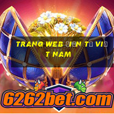 Trang web điện tử Việt nam