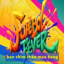 ban chim chao mao bong