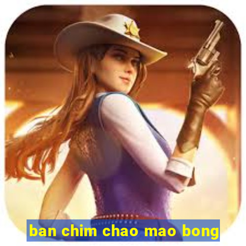 ban chim chao mao bong