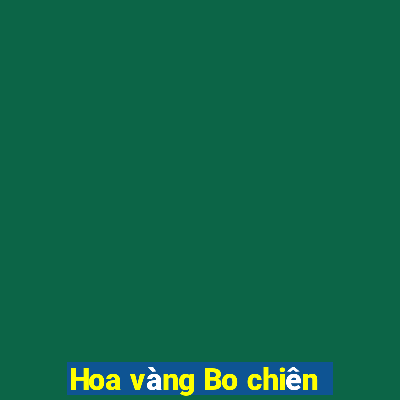 Hoa vàng Bo chiên