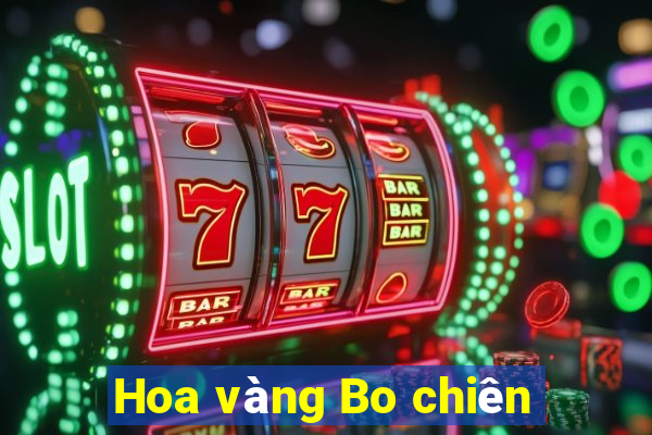 Hoa vàng Bo chiên