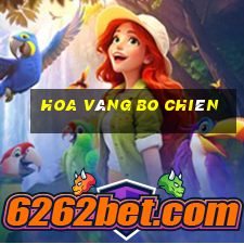 Hoa vàng Bo chiên