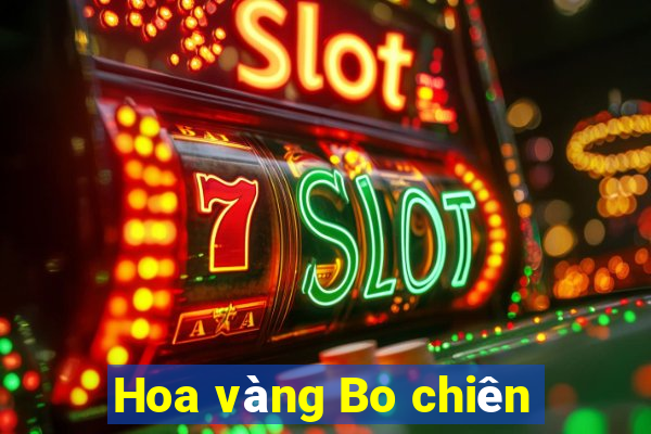 Hoa vàng Bo chiên