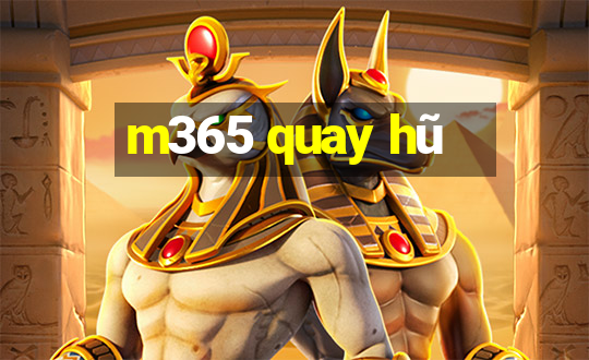 m365 quay hũ