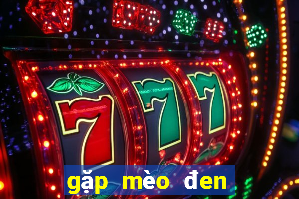 gặp mèo đen đánh con gì