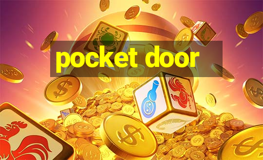 pocket door