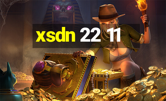 xsdn 22 11