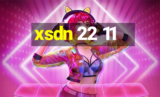 xsdn 22 11