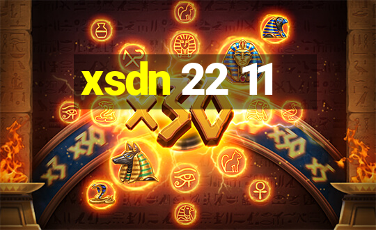 xsdn 22 11