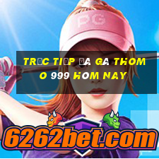 trực tiếp đá gà thomo 999 hôm nay