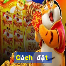 Cách đặt cược XSLA ngày 23