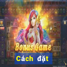 Cách đặt cược XSLA ngày 23