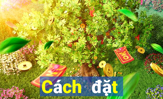 Cách đặt cược XSLA ngày 23