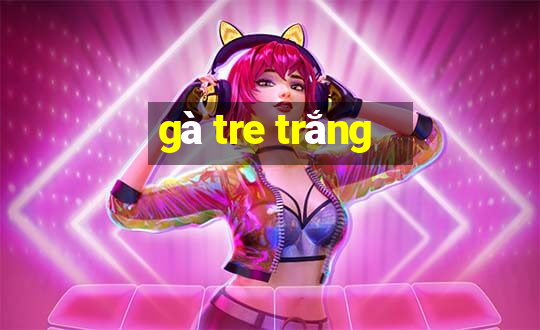 gà tre trắng