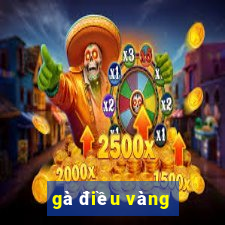 gà điều vàng