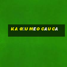 KA Gấu Mèo Câu Cá