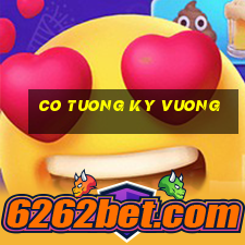 co tuong ky vuong