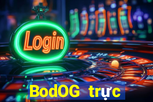 BodOG trực tuyến chó