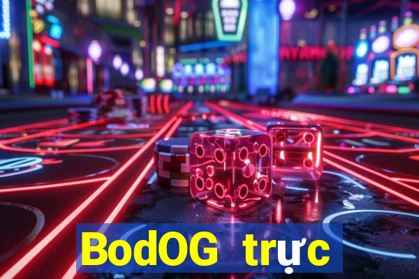 BodOG trực tuyến chó