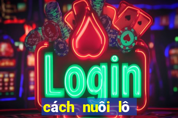 cách nuôi lô kép khung 2 ngày