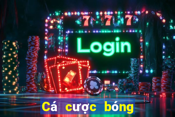 Cá cược bóng rổ 500