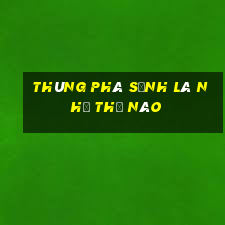 thùng phá sảnh là như thế nào