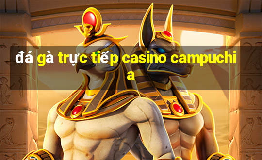 đá gà trực tiếp casino campuchia