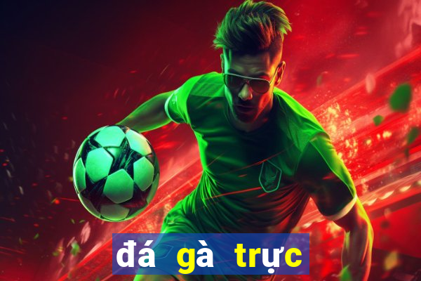 đá gà trực tiếp casino campuchia